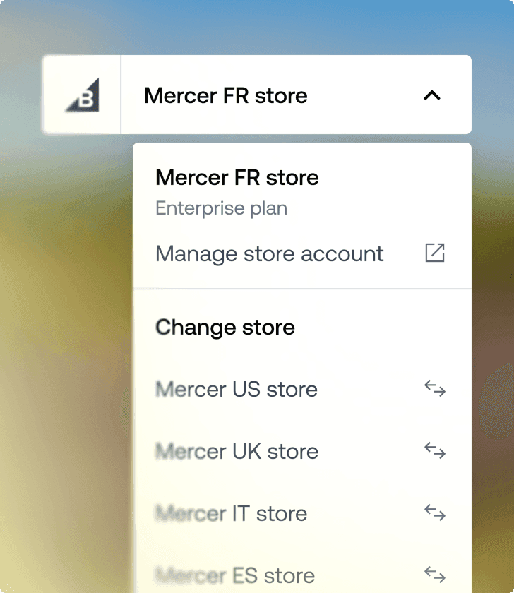 Vervolgkeuzelijst voor multi-storekeuze met de Mercer FR-winkel en opties om te schakelen tussen internationale winkels.